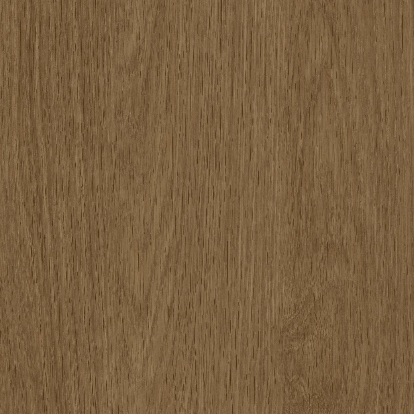 Bodaq OGW01 Noble Oak interior film swatch, Oak Grain Wood Collection