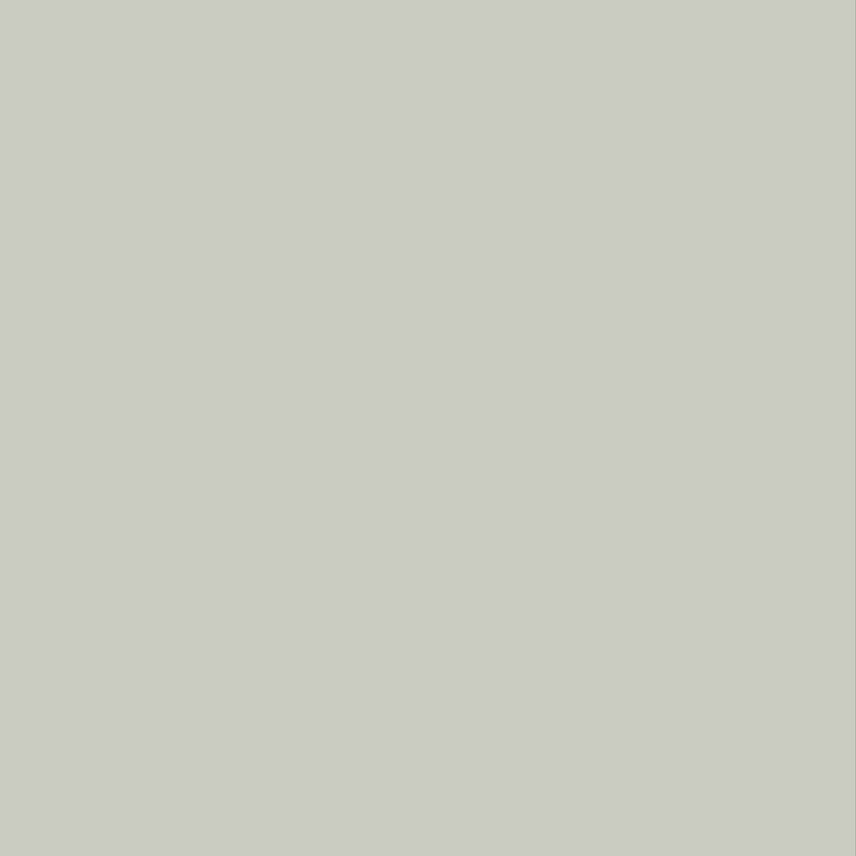 Bodaq S239 Solid Greige interior film swatch, Solid Color Collection