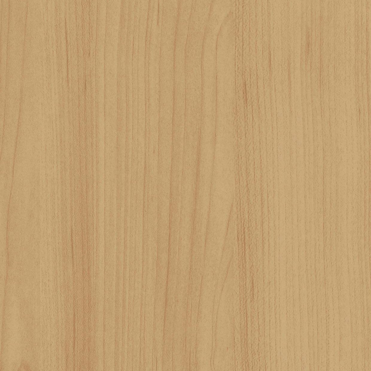 Bodaq W401 Maple interior film swatch, Standard Wood Collection