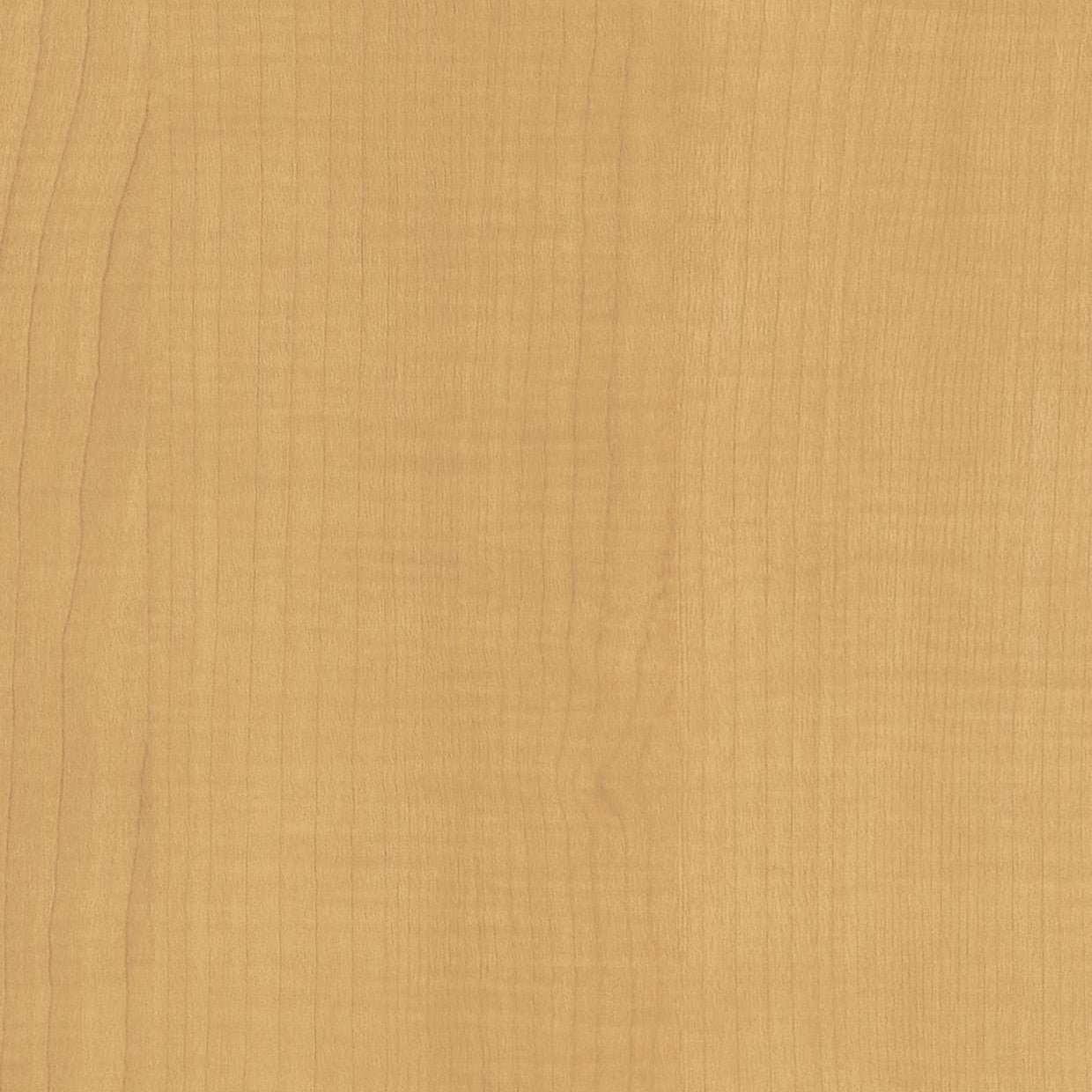 Bodaq W531 Sycamore interior film swatch, Standard Wood Collection