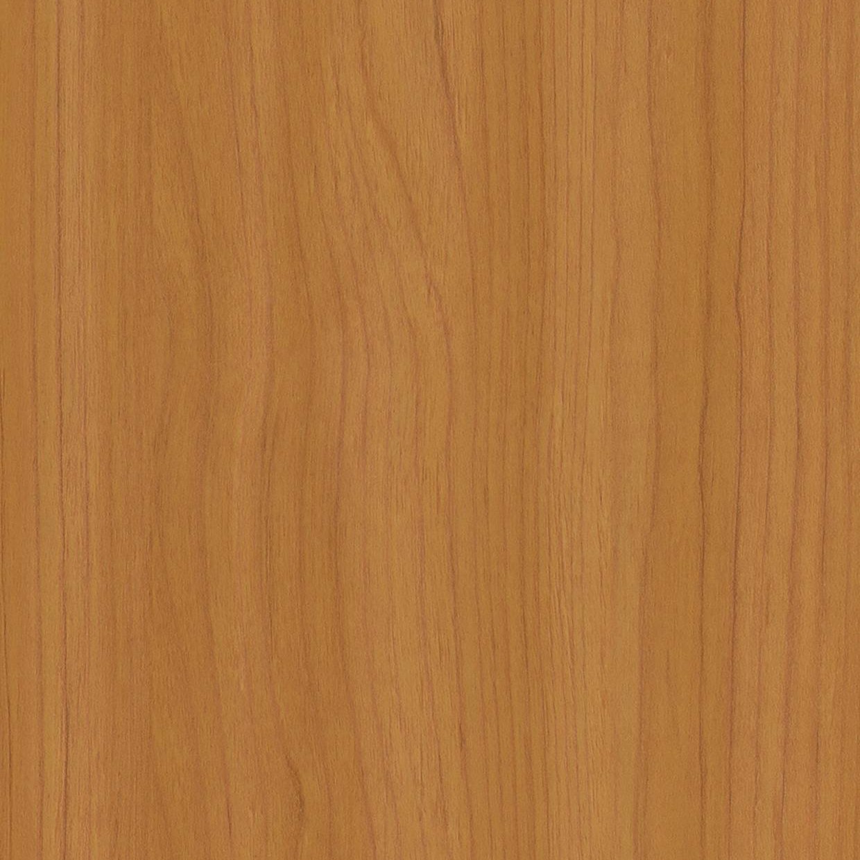 Bodaq W842 Maple interior film swatch, Standard Wood Collection
