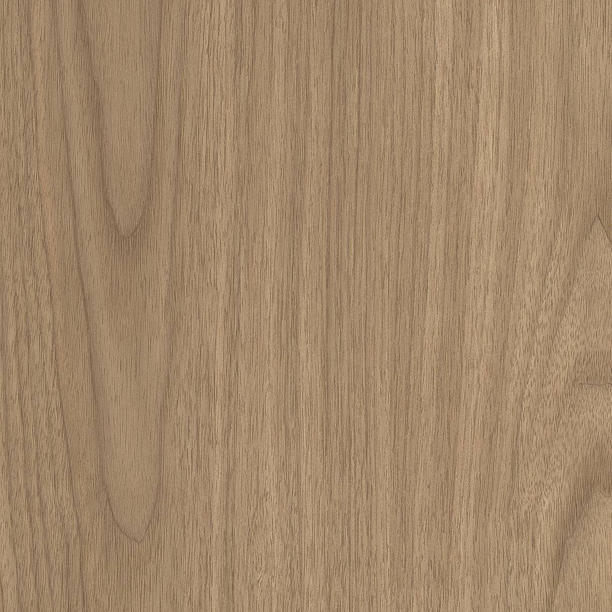 Bodaq ZX149 Nordic Pine interior film swatch, Wood Collection