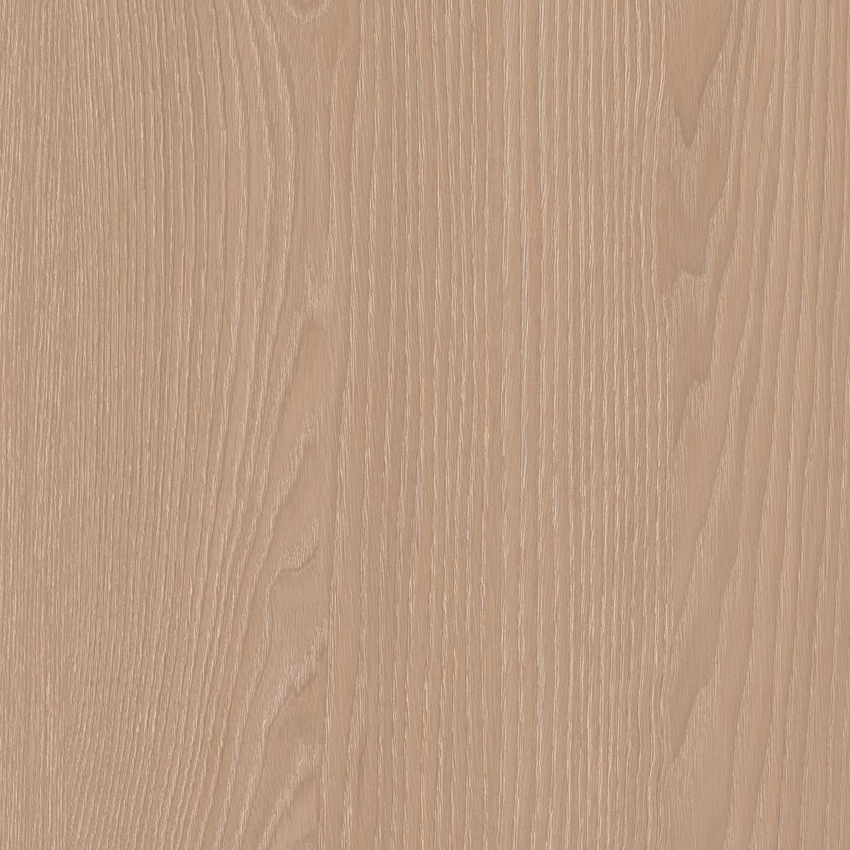 Bodaq ZX176 White Ash Wood interior film swatch, Wood Collection