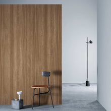 3M™ DI-NOC™ Dry Wood Matte Architectural Film - DW-1884MT