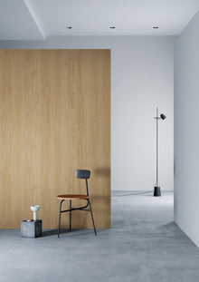 3M DI-NOC Wood Dry DW-2479MT architectural film color sample