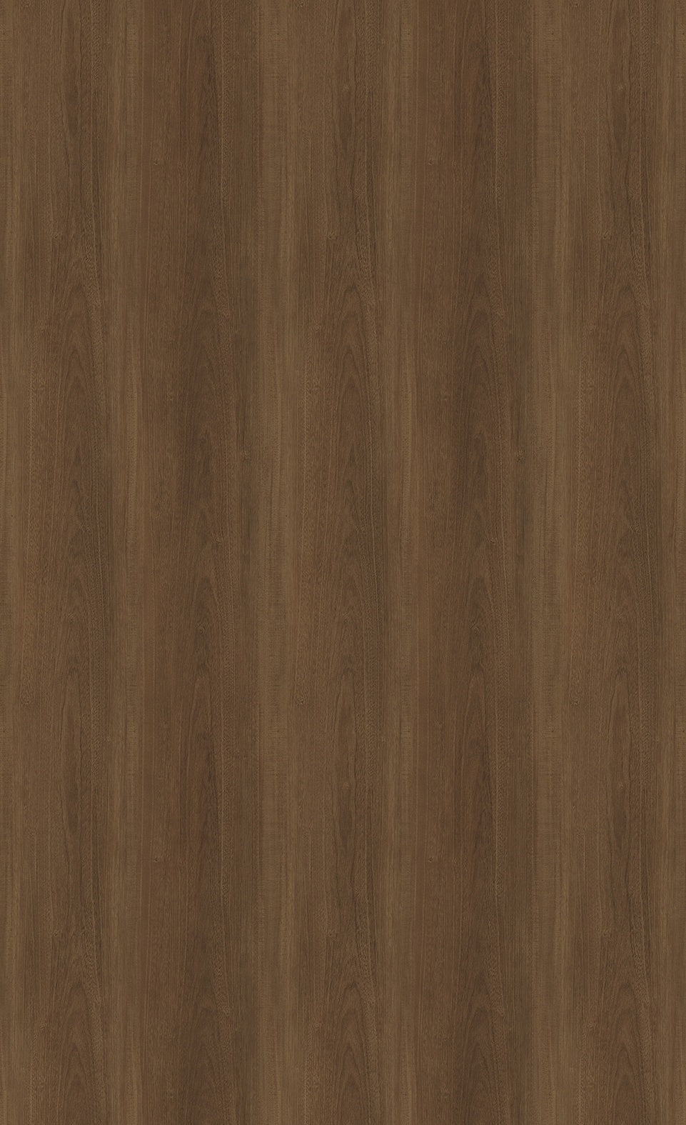 3M DI-NOC Wood Dry DW-2481MT architectural film color sample