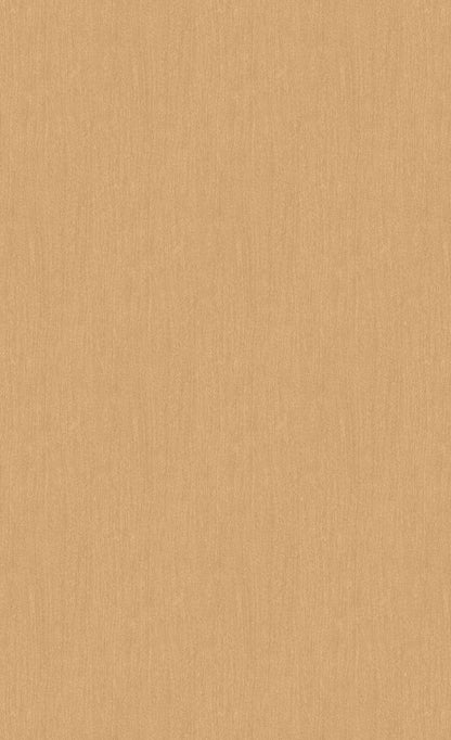 3M DI-NOC Wood Dry Wood DW-1901MT architectural film color sample
