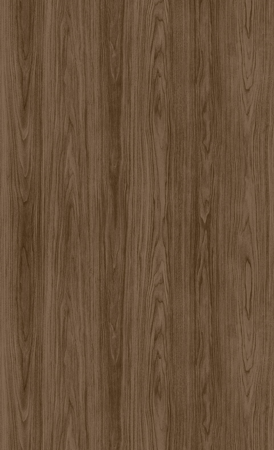 3M DI-NOC Wood Dry Wood DW-2211MT architectural film color sample