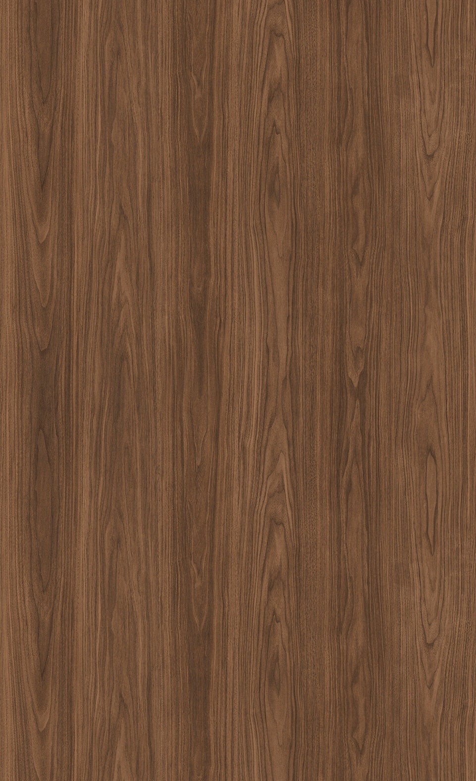 3M DI-NOC Wood Dry Wood DW-2213MT architectural film color sample