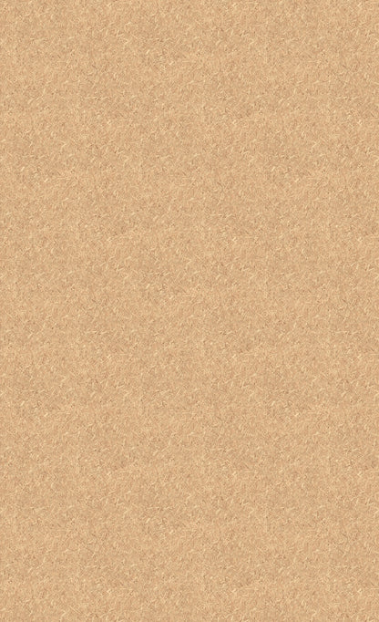 3M DI-NOC Wood Chipboard AE-2168 architectural film color sample