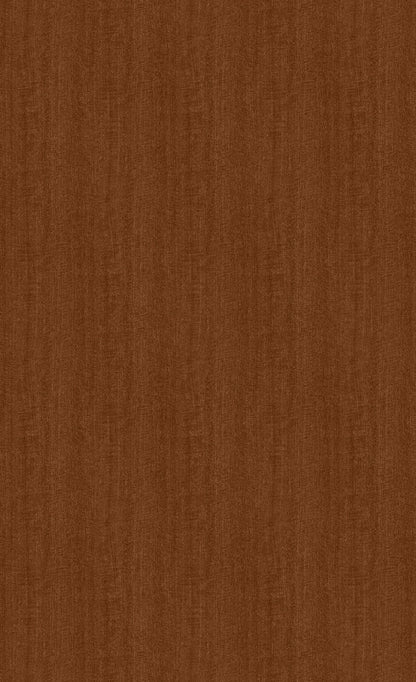 3M DI-NOC Wood Fine Wood FW-888 architectural film color sample
