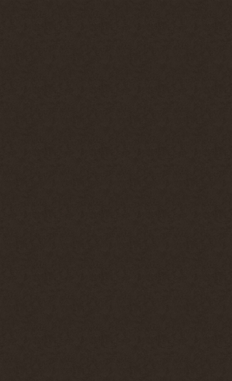 3M DI-NOC Metal Oxidized ME-2287AR architectural film color sample