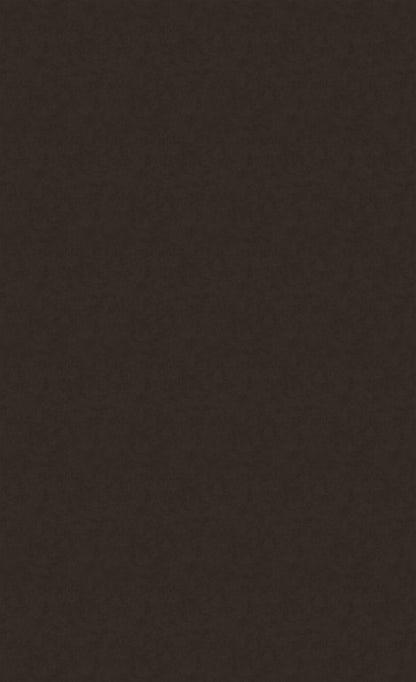 3M DI-NOC Metal Oxidized ME-2287AR architectural film color sample