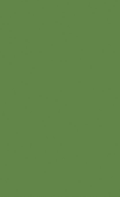 3M DI-NOC Solid Color PS-1010 architectural film color sample