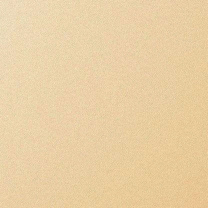 3M DI NOC Solid Color PS 1442 architectural film color sample