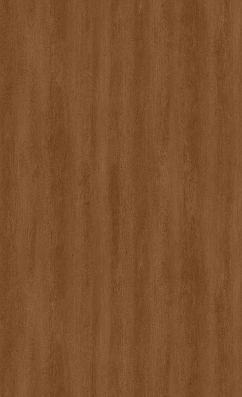 3M DI-NOC Wood Wood Grain WG-1058 architectural film color sample