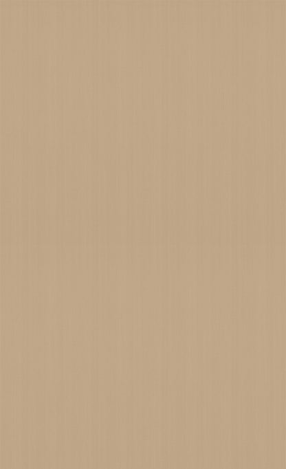3M DI-NOC Wood Wood Grain WG-1344 architectural film color sample