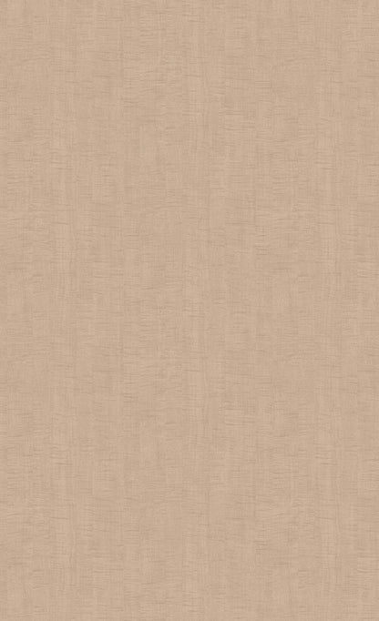 3M DI-NOC Wood Wood Grain WG-247 architectural film color sample