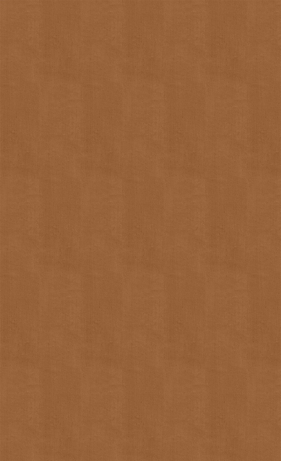 3M DI-NOC Wood Wood Grain WG-831 architectural film color sample