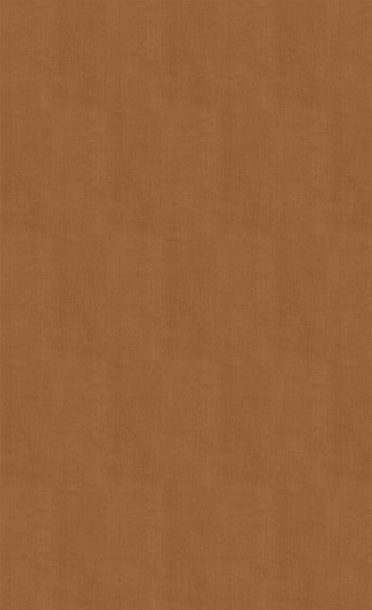 3M DI-NOC Wood Wood Grain WG-831 architectural film color sample