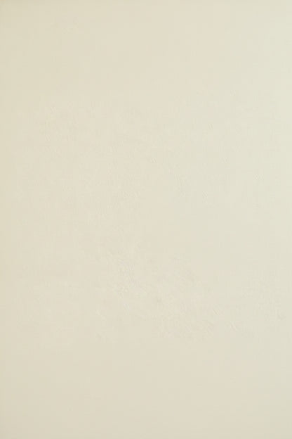 Renuva MT1705 architectural film full-length panel view