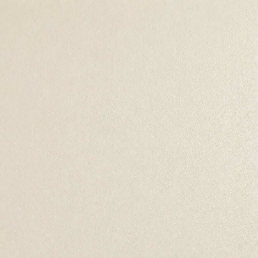 Renuva MT1705 Matte Solid architectural film color swatch