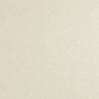 Renuva MT1705 Matte Solid architectural film color swatch
