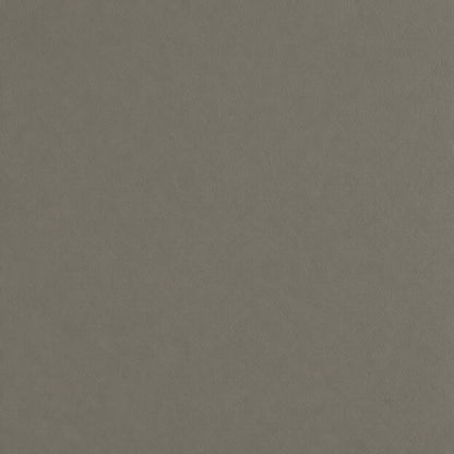 Renuva MT1709 Matte Solid architectural film color swatch