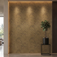 Bodaq APZ05 interior film rendered on a feature wall