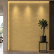 Bodaq APZ18 interior film rendered on a feature wall