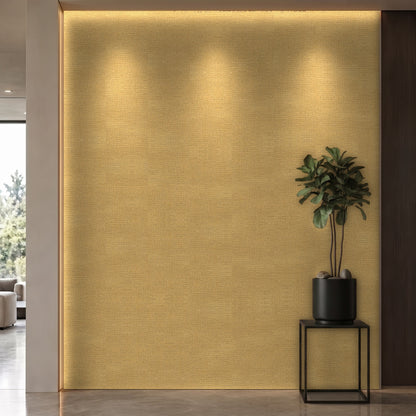 Bodaq APZ18 interior film rendered on a feature wall