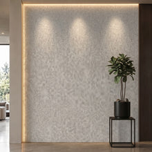 Bodaq BLC02 interior film rendered on a feature wall
