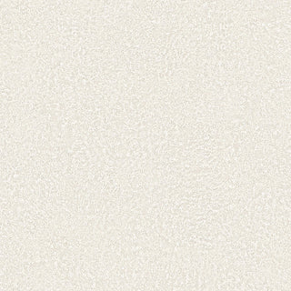 Bodaq® Mono Blanc Interior Film - BLC03 Valen Porcelain