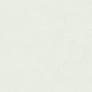Bodaq® Mono Blanc Interior Film - BLC05 Pure White