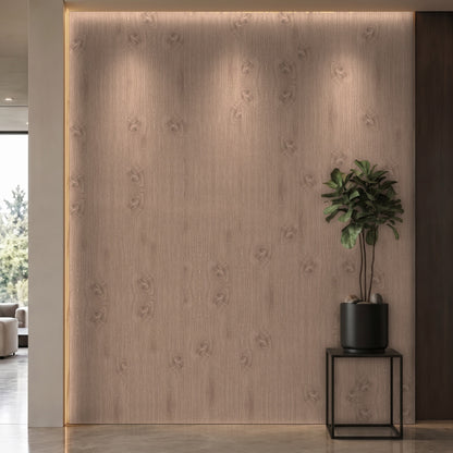Bodaq LW103 interior film rendered on a feature wall