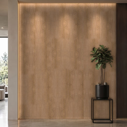 Bodaq LW104 interior film rendered on a feature wall