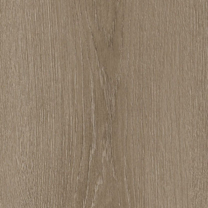 Bodaq LW107 Modern Oak interior film swatch, Wood Collection