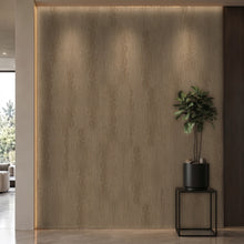 Bodaq LW115 interior film rendered on a feature wall