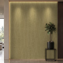 Bodaq LW203 interior film rendered on a feature wall