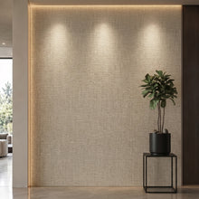 Bodaq NF903 interior film rendered on a feature wall