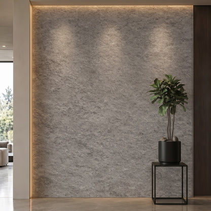 Bodaq NS120 interior film rendered on a feature wall