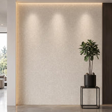 Bodaq NS122 interior film rendered on a feature wall