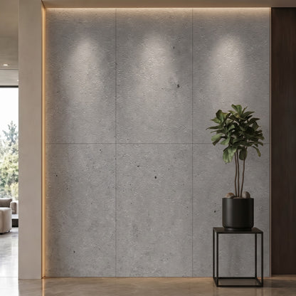Bodaq NS401 interior film rendered on a feature wall