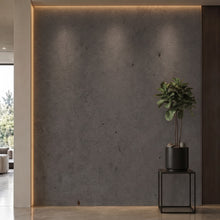 Bodaq NS403 interior film rendered on a feature wall