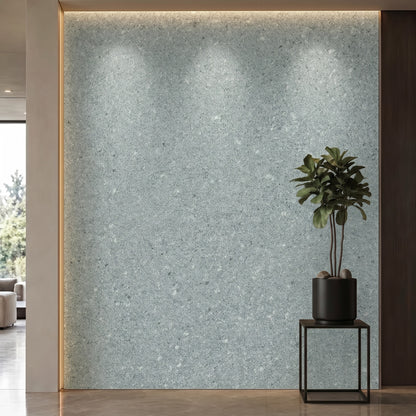 Bodaq NS823 interior film rendered on a feature wall