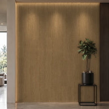 Bodaq OGW01 interior film rendered on a feature wall
