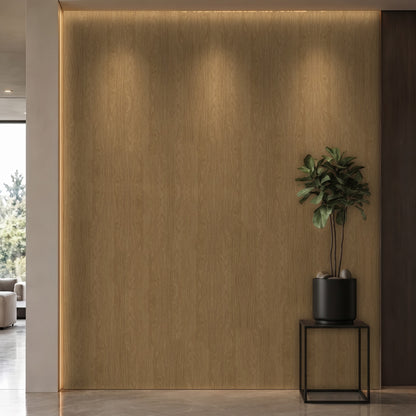 Bodaq OGW01 interior film rendered on a feature wall