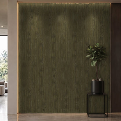 Bodaq OGW06 interior film rendered on a feature wall
