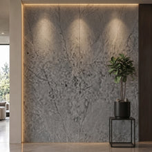 Bodaq PM009 interior film rendered on a feature wall
