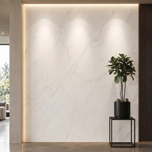 Bodaq PM019 Venato interior film rendered on a feature wall